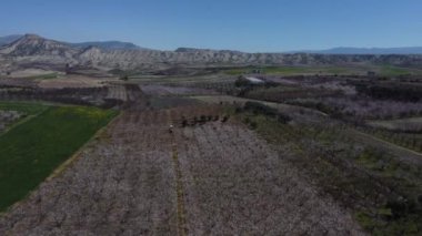 Güzel, güneşli bir bahar gününde çiçek açan ağaçların olduğu, bahçenin ve yeryüzündeki dağların havadan görünüşü.
