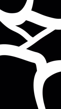 Soyut siyah-beyaz animasyon deseni. Karmaşık çizilmiş şekiller. Yüksek kaliteli animasyon. 4k.