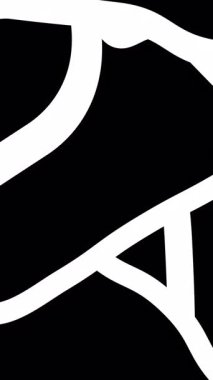 Soyut siyah-beyaz animasyon deseni. Karmaşık çizilmiş şekiller. Yüksek kaliteli animasyon. 4k.