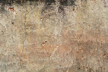 Arka plan olarak binanın boyalı beton tabanı