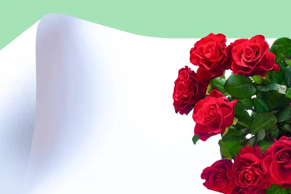Bouquet of red roses on the background of a large sheet of paper. Place for text.