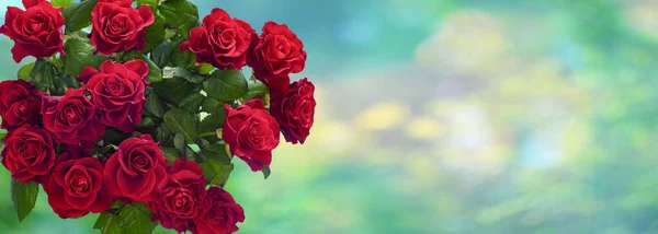 Kytice Rudých Růží Barevném Malebném Pozadí Místo Pro Text — Stock fotografie
