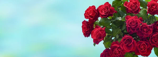 Kytice Rudých Růží Barevném Malebném Pozadí Místo Pro Text — Stock fotografie