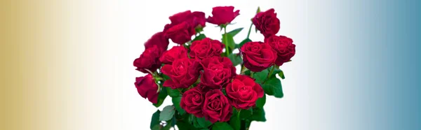Kytice Rudých Růží Bílém Pozadí Uprostřed Obrazu Měkké Barvy Pozadí — Stock fotografie