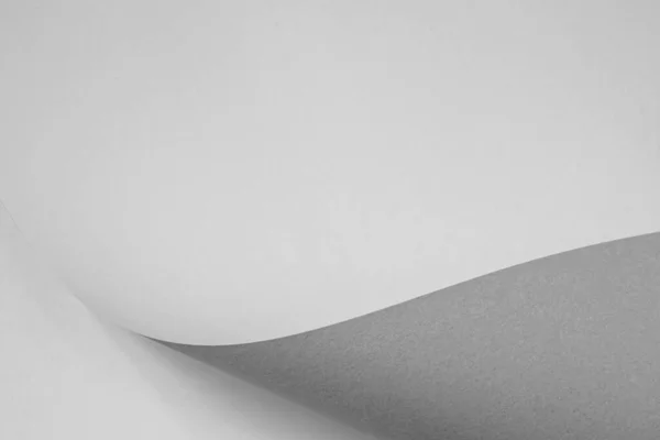 Büyük bir karton yaprak. Siyah ve beyaz resim.