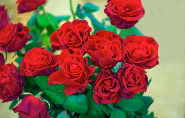 Kytice Rudých Růží — Stock fotografie