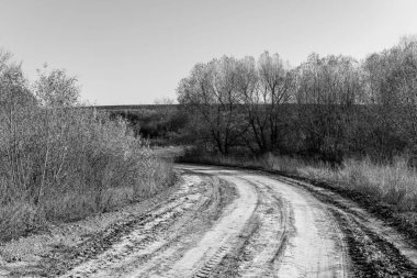 Güneşli bir yaz gününde çamurlu bir yol. Siyah ve beyaz resim.