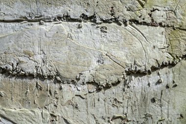 Güneşli bir günde beton duvardan soyut bir arkaplan.