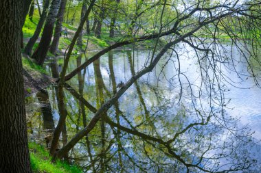Parkta güneşli bir bahar gününde.