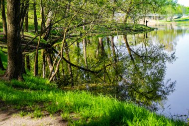 Parkta güneşli bir bahar gününde.