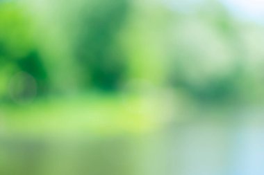 Metin materyali için bulanık arkaplan (nehir, ağaçlar, çimenler, ilkbahar).