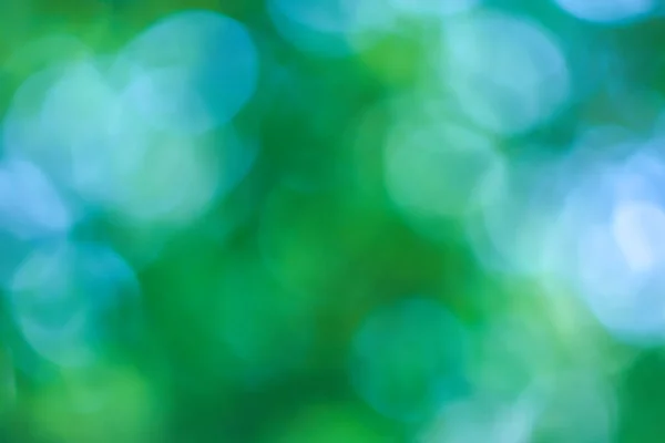 Размытый Образ Боке Зеленой Листвой Фоне Неба Стоковое Фото