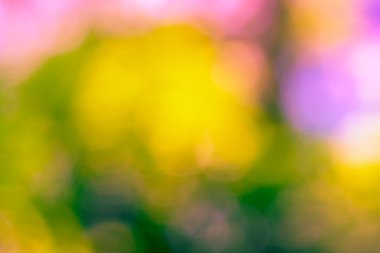 Tasarım ve diğer görevler için soyut renkli arkaplan.