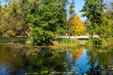 Küçük bir nehirde sonbahar doğası.