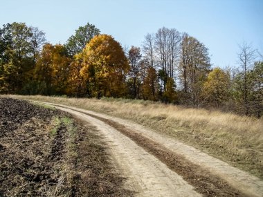 Sonbaharın başlarında kırsal alanda toprak yol.