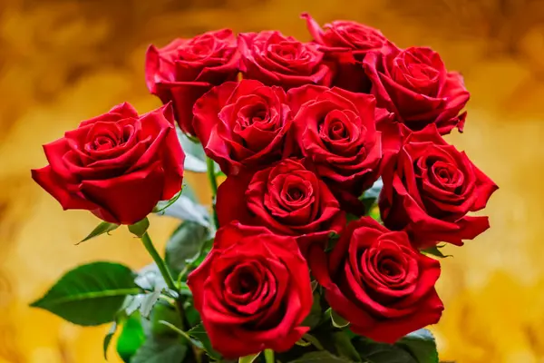 Bouquet of red roses on a yellow background.