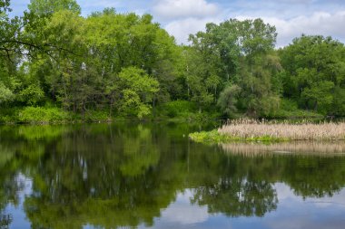 Yeşil ağaçlara ve küçük bir nehre bakan güzel, sakin bir bahar manzarası..