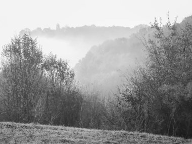 : Siyah beyaz sonbahar sisi.