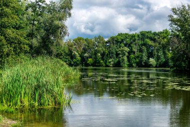 Bir yaz gününde şehirde küçük bir göl.