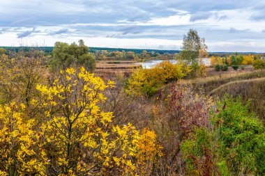 Parlak sonbahar manzarası Bulutlu gökyüzü.