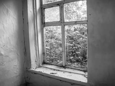 Terk edilmiş bir evin penceresi büyümüş bir bahçenin arka planına karşı..
