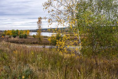 Sonbahar manzarası bulutlu bir günde Sarı ağaçlar ve bir yol.