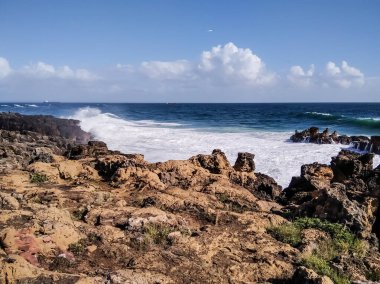 Gökyüzünde uçan bir kuşla Atlantik Okyanusu kıyısı. Portekiz.