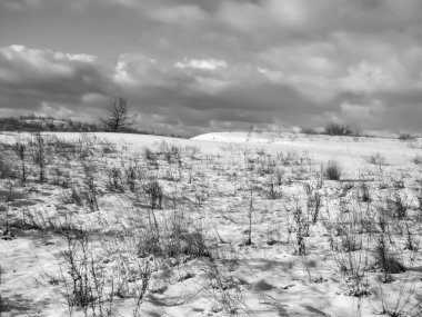  siyah beyaz kış manzarası.                              