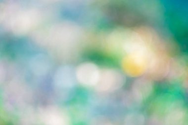 Tasarımınız için (doğa, park, gökyüzü, gökyüzü) bokeh etkisi arka planı ile odaklanmış kentsel soyut)