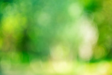 Tasarımınız için (doğa, park, gökyüzü, gökyüzü) bokeh etkisi arka planı ile odaklanmış kentsel soyut)