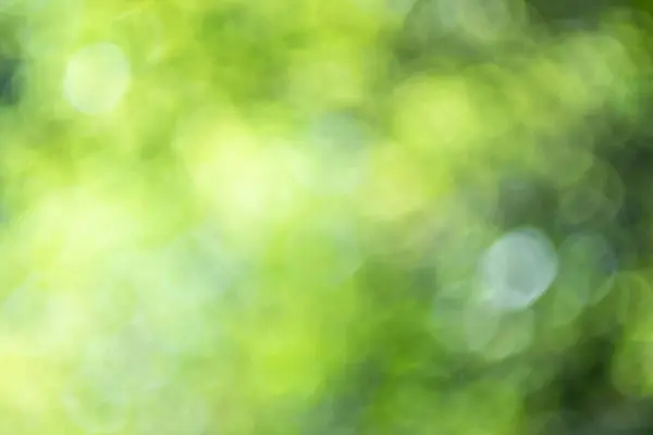 Tasarımınız için (doğa, park, gökyüzü, gökyüzü) bokeh etkisi arka planı ile odaklanmış kentsel soyut)