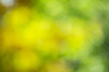 Doğanın sonbahar durumunun odaklanmamış görüntüsü.