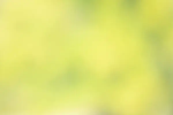 Metin ve diğerleri için pastel yeşil arkaplan.