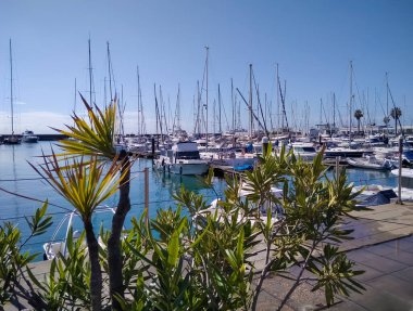 Cascais Körfezi 'nde çok sayıda yat var. Portekiz.