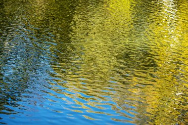 Güneşli bir günde, sonbahar doğasının sularındaki yansımalar soyut bir arka plan olarak görülür..