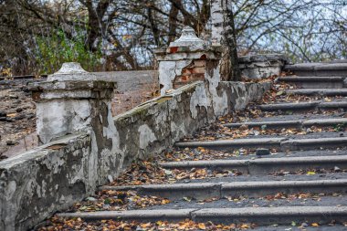 Terk edilmiş bir parkta sarı sonbahar yapraklarıyla kaplı eski adımlar..