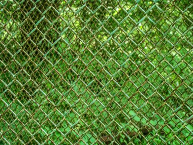    Arka plan olarak boyanmış metal çit.                            