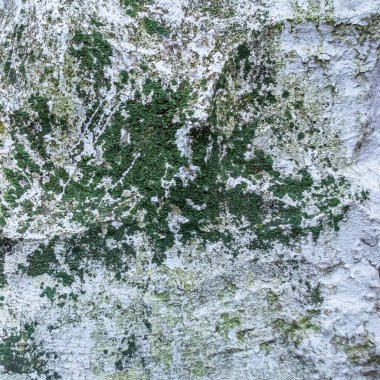 Soyut renk dokusuna sahip soyut çok renkli grunge arkaplanı..