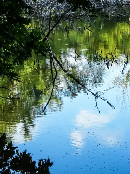     Kırsalda yaz güneşli bir gün..                           