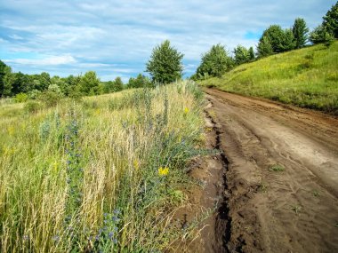  Yaz yağmurundan sonra taşrada bir yol silinmiş..                              