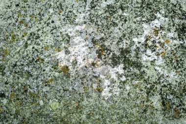 Doğa tarafından yaratılan soyutlama. Nem ve diğer doğal etkilerin sonuçları..