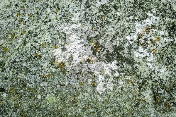 Doğa tarafından yaratılan soyutlama. Nem ve diğer doğal etkilerin sonuçları..