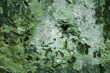 Eski solmuş duvarın dokusu soyut arkaplan olarak.