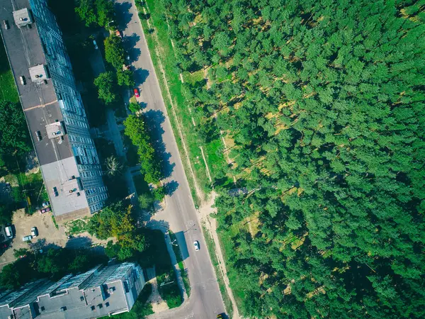 Çok katlı binalar yaprak döken bir ormandan bir yol ile ayrılır.