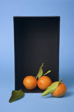 Ecological and very sweet tangerines from the garden of Valencia Spain.