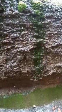 Duvarın önündeki kar taneleri.