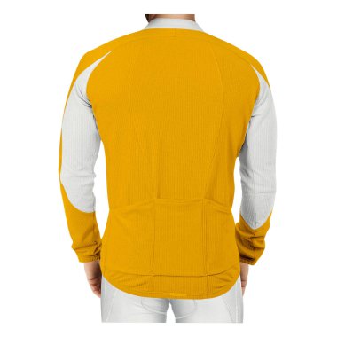 Yüksek çözünürlüklü Back View Muhteşem Adam Uzun kollu Jersey Füzyon Rengi, tasarım fikirlerinizi sunmanıza yardımcı olmak için daha değerli ve güzel