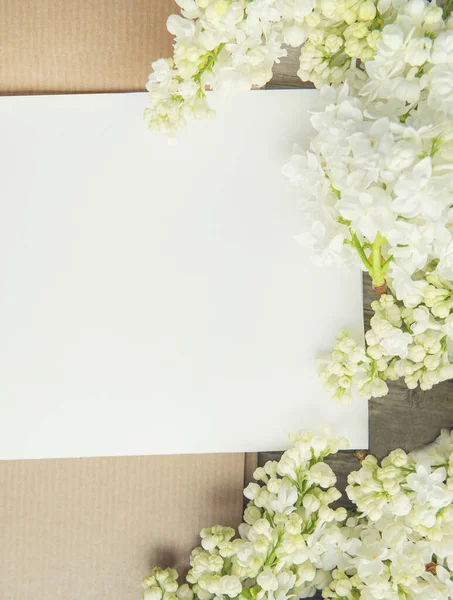 白纸卡片 带有特写的白紫丁香花 — 图库照片