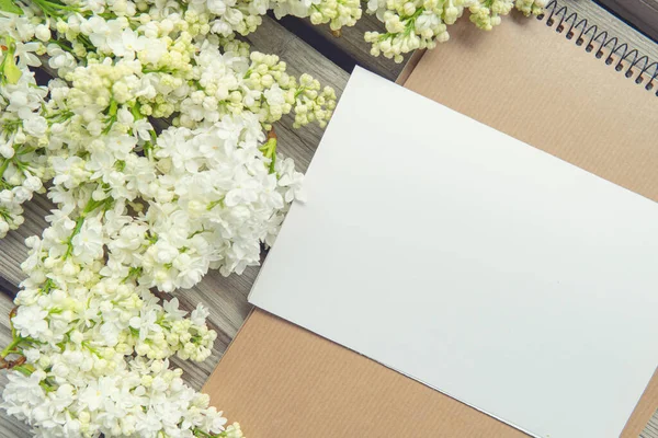 Witte Papieren Kaart Met Close Witte Lila Bloemen — Stockfoto