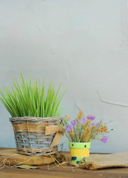 Kırsal Yaşam Şablonu Vazolarda Çayır Çiçekleri Arka Planda Metin Için — Stok fotoğraf